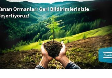 Atlas Copco Türkiye'den Yanan Ormanlara Umut: Her Müşteri Geri Bildirimi Bir Fidana Dönüşüyor