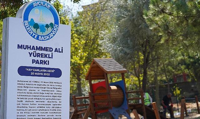 Avcılar'ın tek köpek oyun parkı yenilendi