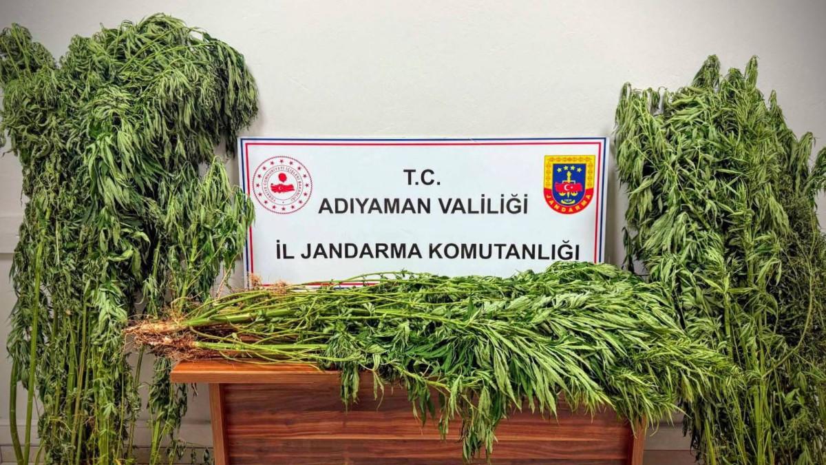 Adıyaman’da Uyuşturucu Operasyonu: 9 Gözaltı, 2 Tutuklama