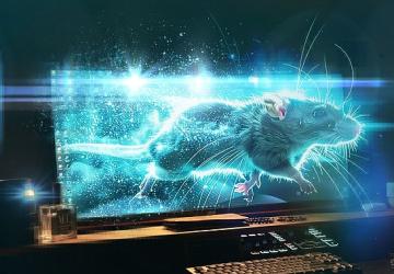 Siber suçluların tehdit aracı evrim geçirerek büyüyor