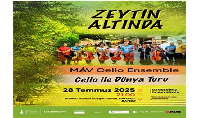 Zeytin Altında konserleri MAV Cello Ensemble ile başlıyor Zeytin Altında konserleri MAV Cello Ensemble ile başlıyor