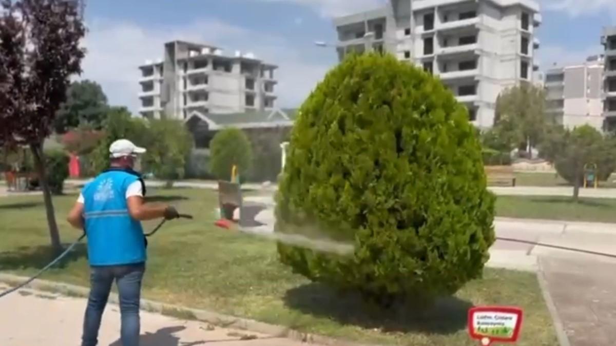 Adıyaman Belediyesi park ve yeşil alanlarda ilaçlama çalışmalarını sürdürüyor - Videolu Haber