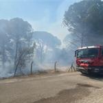 Bergama'da orman yangınına müdahale ediliyor