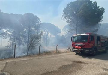 Bergama'da orman yangınına müdahale ediliyor