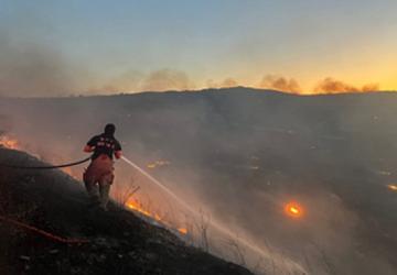 Aliağa Hacıömerli Mahallesi makilik alanda çıkan yangına müdahale sürüyor