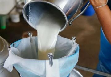 Mayıs Ayında Süt Üretimi Düştü, Ancak Süt Ürünleri Üretimi Yükseldi