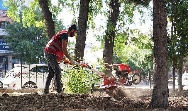 Keçiören'de Park ve Bahçelere Estetik Dokunuş Keçiören'de Park ve Bahçelere Estetik Dokunuş