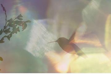 Yapı Kredi bomontiada TV+ ile Açık Havada Sinema'da bu hafta: “Every Little Thing"