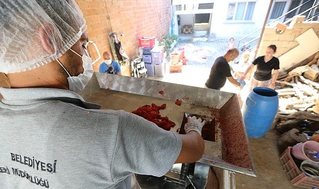 Efes Selçuk'ta Kışlık Salça Hazırlıkları Başlıyor