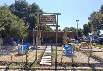 Urla Belediyesinden çevre dostu peyzaj hamlesi