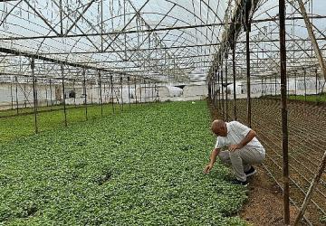 Asan Tarım'dan kuraklıkla mücadelede yerli çözüm: Damla Sulama Projesi Başladı