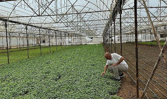 Asan Tarım'dan kuraklıkla mücadelede yerli çözüm: Damla Sulama Projesi Başladı
