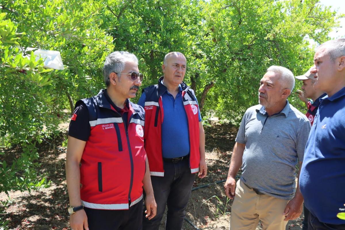 Akkan’dan sertifikalı fidan üreticilerine ziyaret Akkan’dan sertifikalı fidan üreticilerine ziyaret