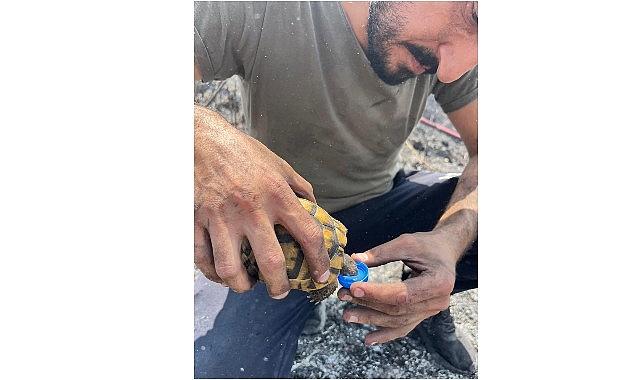 Alevlerin ortasında bir damla hayat Alevlerin ortasında bir damla hayat