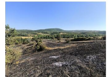 Yangında zarar gören çiftçilere gübre ve tohum desteği