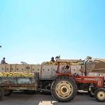 Manavgat Yeni Hal Toptancı Kompleksi üreticilerin ve tüccarların yüzlerini güldürüyor