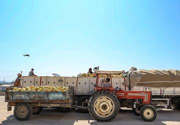 Manavgat Yeni Hal Toptancı Kompleksi üreticilerin ve tüccarların yüzlerini güldürüyor