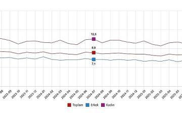 İşgücü İstatistikleri, Temmuz 2025
