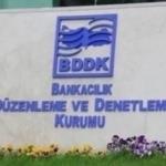 BDDK, Finansal ve Finansman Şirketlerinin Faaliyetlerini Düzenledi