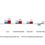 Aylık en yüksek reel getiri Devlet İç Borçlanma Senetleri (DİBS)'te oldu