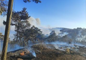 Büyükşehir ekiplerinden Akhisar'daki yangına müdahale