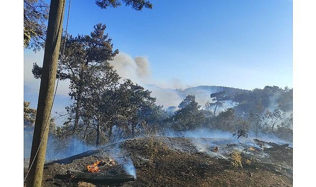 Büyükşehir ekiplerinden Akhisar'daki yangına müdahale