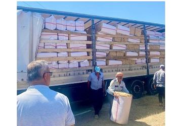 Urla Belediyesinden Zeytineli'ne 19 Ton Saman Desteği