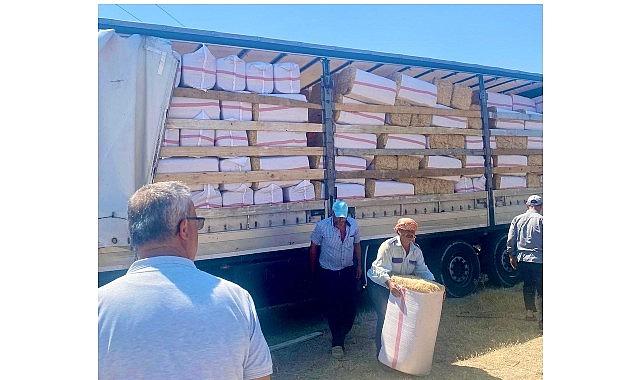 Urla Belediyesinden Zeytineli'ne 19 Ton Saman Desteği Urla Belediyesinden Zeytineli'ne 19 Ton Saman Desteği