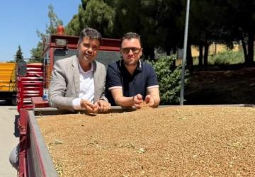 TMO’dan Rekor Buğday Alımı: Depolar Doldu