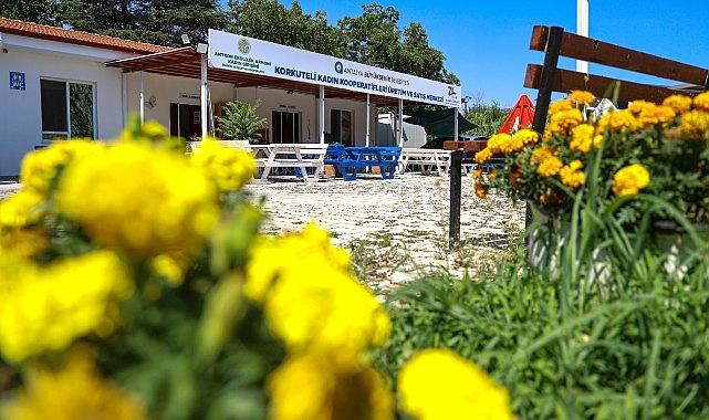 Büyükşehir'den kadınlara üretim desteği