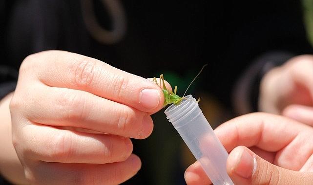 Kuzuyayla'da biyoçeşitlilik haritası çıkarıldı