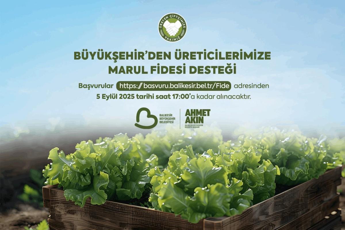 Büyükşehir’den Çiftçilere Marul Fidesi Desteği Sağlandı Büyükşehir’den Çiftçilere Marul Fidesi Desteği Sağlandı