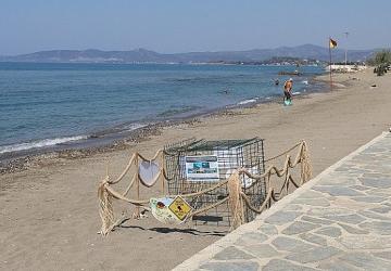 Menderes'te Caretta Caretta Heyecanı