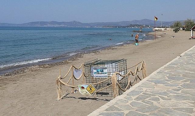 Menderes'te Caretta Caretta Heyecanı Menderes'te Caretta Caretta Heyecanı