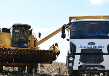 Lüleburgaz Belediyesi'nden ayçiçeği hasadı