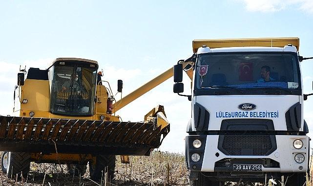 Lüleburgaz Belediyesi'nden ayçiçeği hasadı