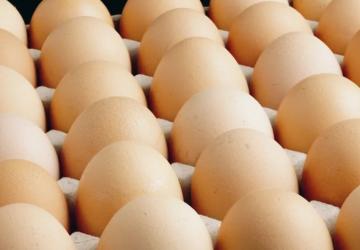 Yumurta Tebliği Değişti: A Sınıfı Yumurtalara Tüketim Tarihi Şartı