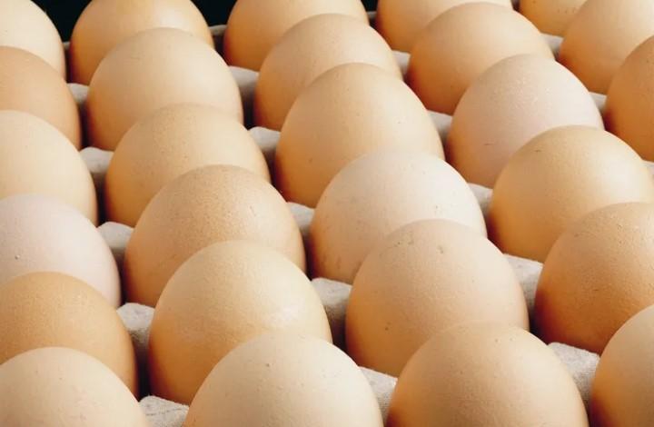 Yumurta Tebliği Değişti: A Sınıfı Yumurtalara Tüketim Tarihi Şartı