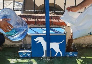 Yazın Sıcak Günlerinde Küçükçekmece Belediyesi'nden Sokak Hayvanlarına Can Suyu Çağrısı