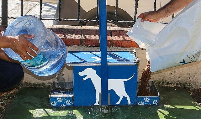 Yazın Sıcak Günlerinde Küçükçekmece Belediyesi'nden Sokak Hayvanlarına Can Suyu Çağrısı Yazın Sıcak Günlerinde Küçükçekmece Belediyesi'nden Sokak Hayvanlarına Can Suyu Çağrısı