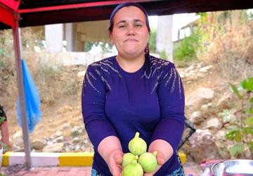 Menemen'de Bozalan İncir Festivali heyecanı yaşanacak