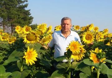 CHP’li Oğuz’dan Trakya’da Ayçiçeği Alarmı!
