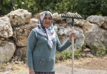 Yenişehir Belediyesinin desteğiyle safran üreticisi sayısı artıyor