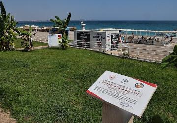 Büyükşehir'in engelsiz plajlarına ziyaretçi akını