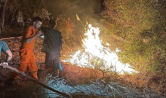 Kemer'de korkutan yangın