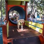 Bakırköy'ün İkinci Pati Parkı Açıldı