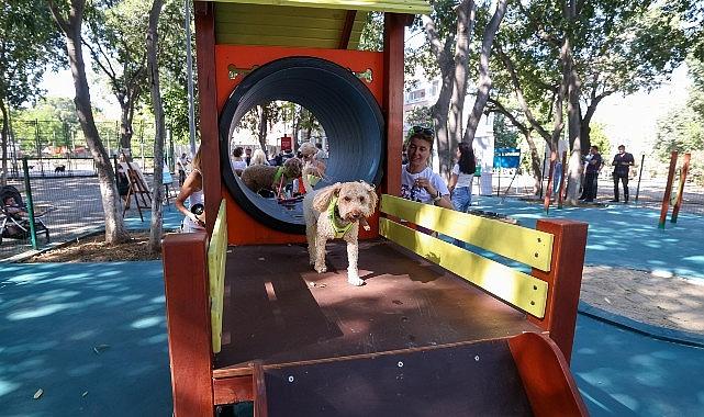 Bakırköy'ün İkinci Pati Parkı Açıldı