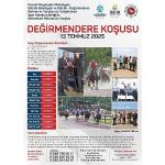 Rahvan at heyecanı 13 Temmuz'da Gölcük'te yaşanacak