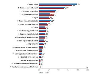 Yıllık Gayrisafi Yurt İçi Hasıla, 2024