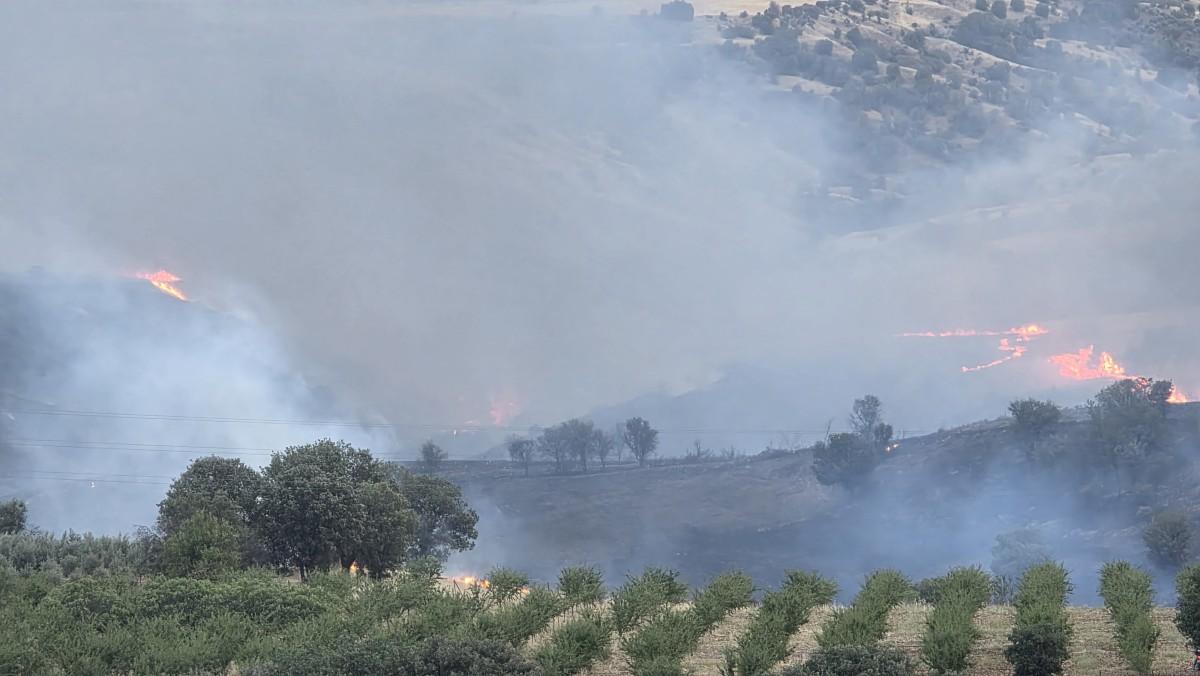Kahta’da tarlada korkutan yangın Kahta’da tarlada korkutan yangın